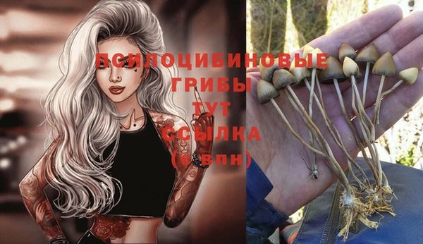 прущая мука Наволоки