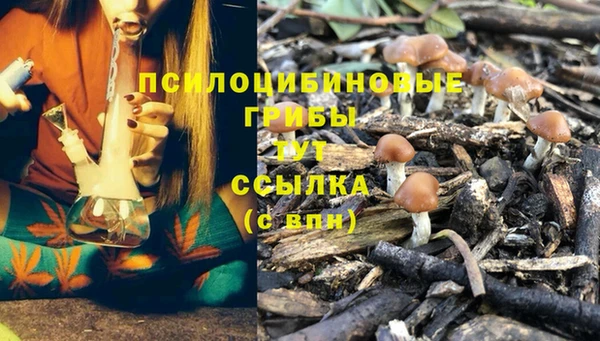 прущая мука Наволоки