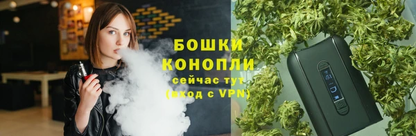 прущие грибы Навашино